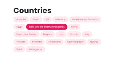 Bubble Plugin: Repeating group as Chips gallery image
