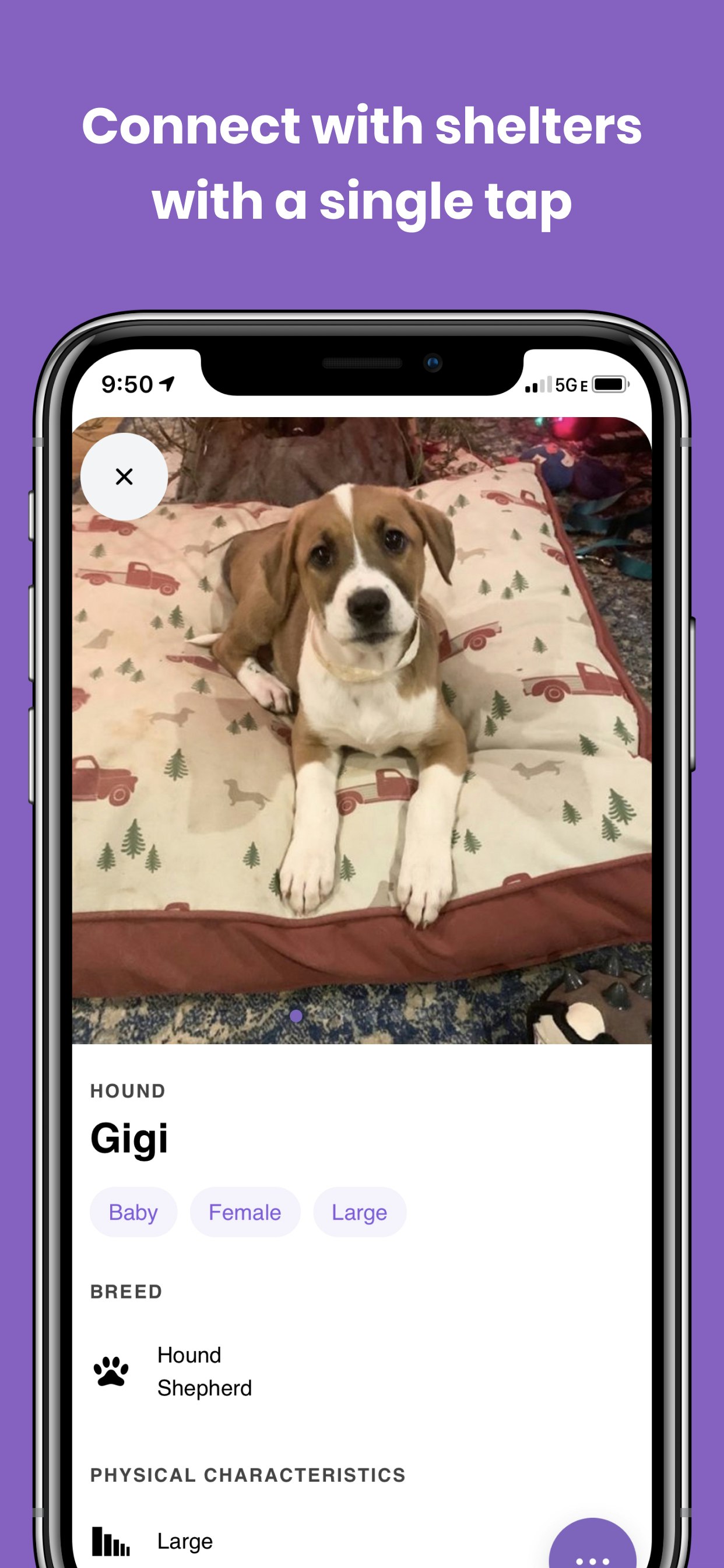 Petly App gallery image