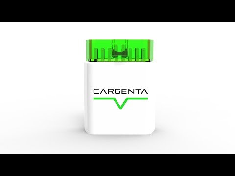 Cargenta Brain gallery image