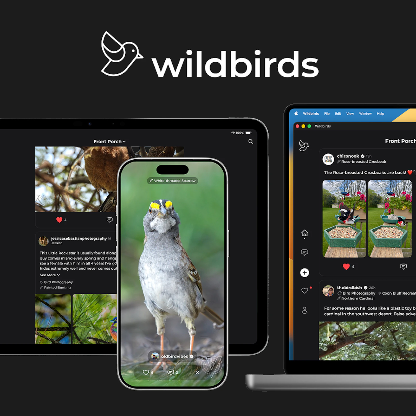wildbirds screenshot 1