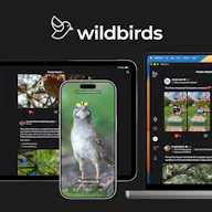 wildbirds