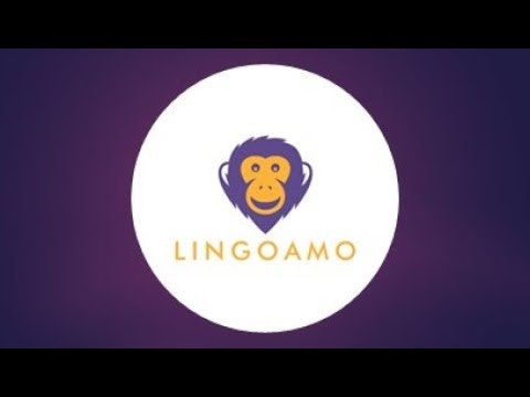 Lingoamo gallery image