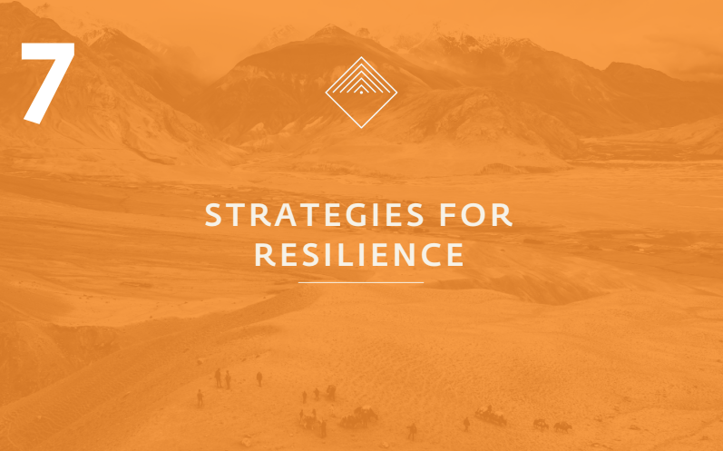 The Emotional Resilience Report gallery image