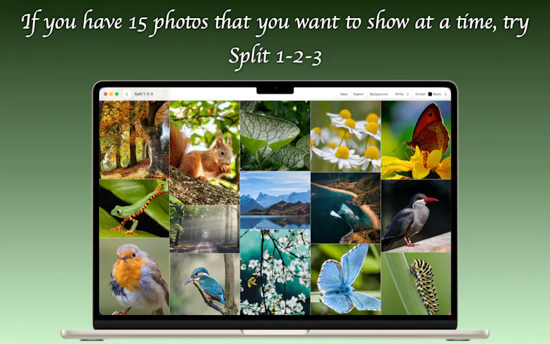 Split 1-2-3 screenshot 2