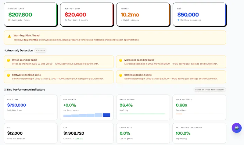 Your AI CFO. Without the CFO price tag. screenshot 1