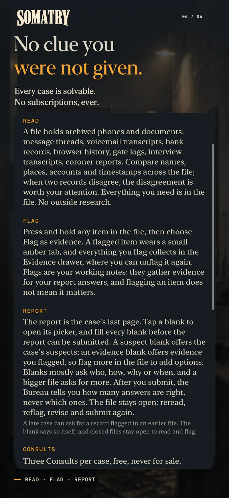 Somatry: Cold Case Mystery screenshot 4