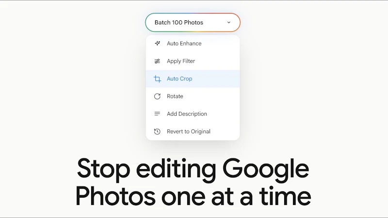 Batch for Google Photos screenshot 1 (video preview)