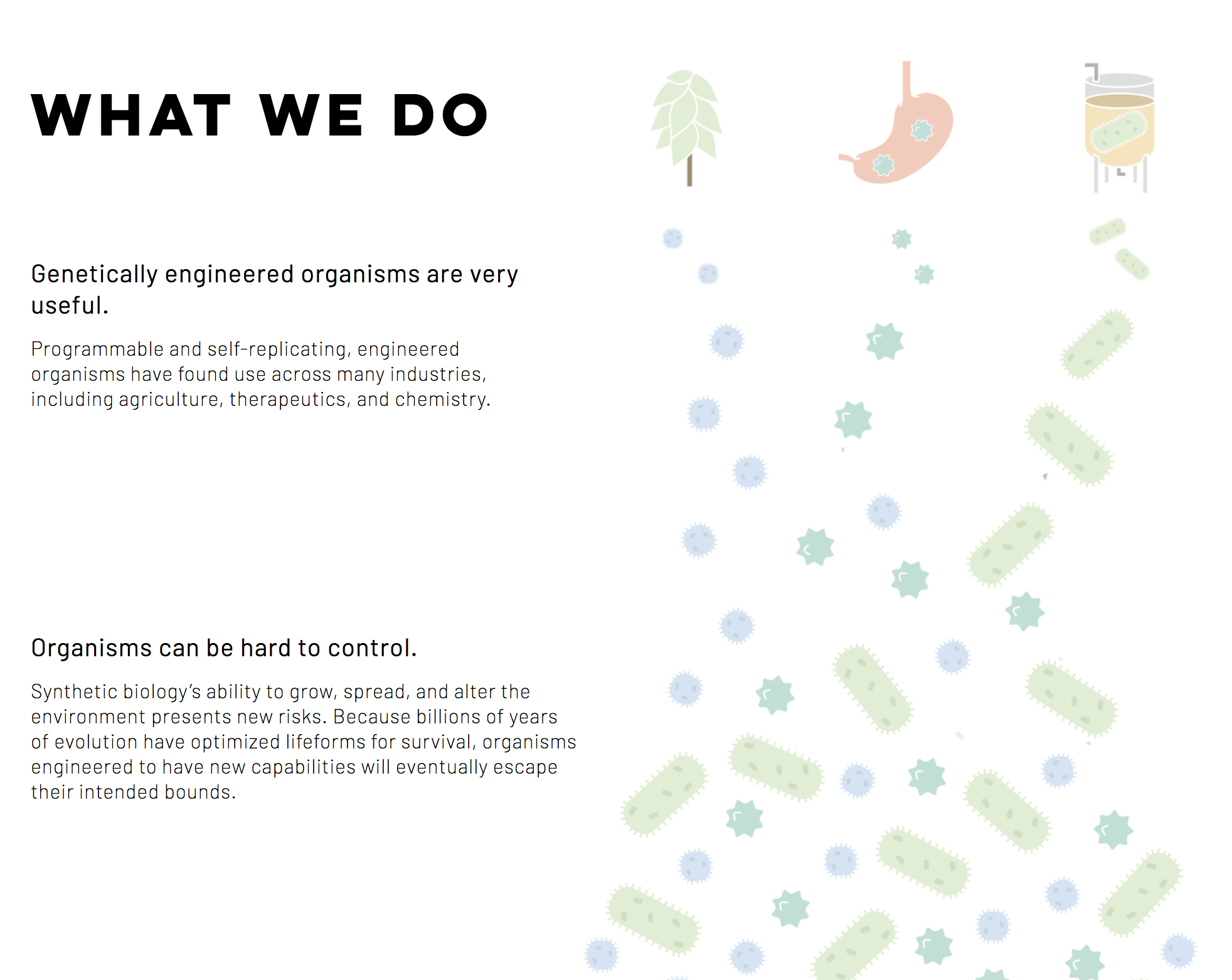 Synvivia gallery image