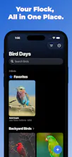 Bird Days gallery image
