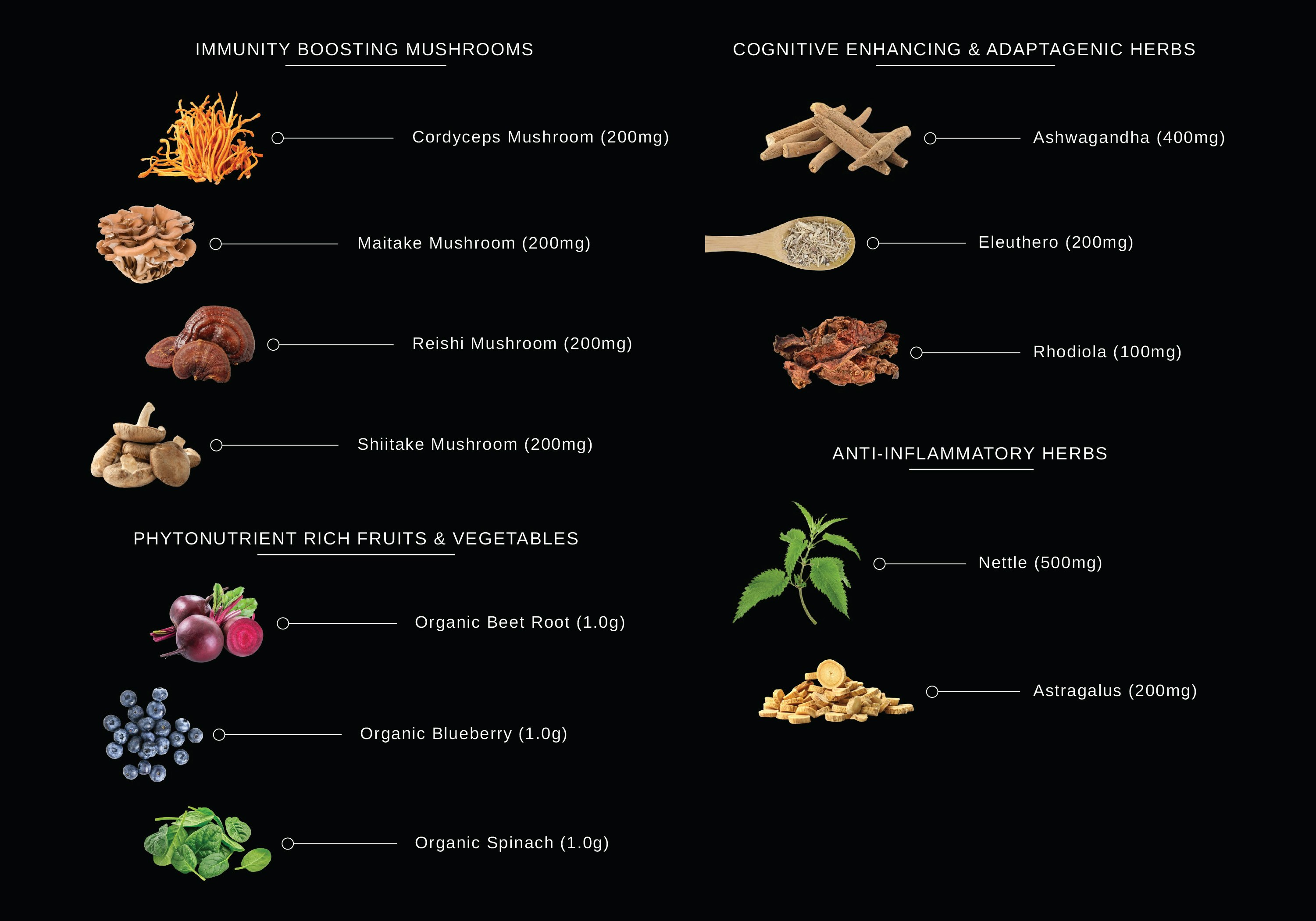 Satia Nutrition - Premium Meal Shake media 5