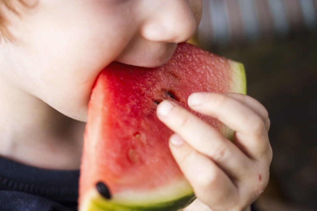 Motosha - Free Stock Photos gallery image