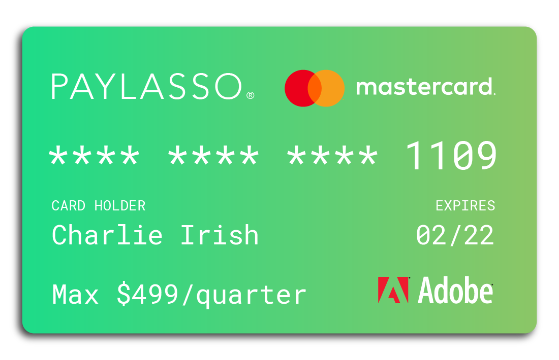 Paylasso gallery image