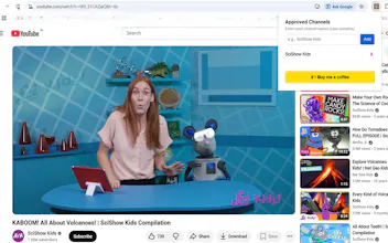 YT Kids Safe Filter gallery image