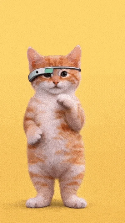 DANCING CATS App screenshot 3