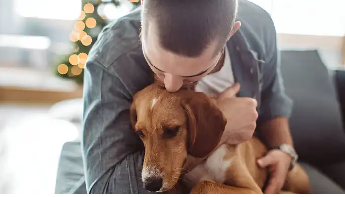 suoni del cane - Traduttore di suoni fischi per cani media 3