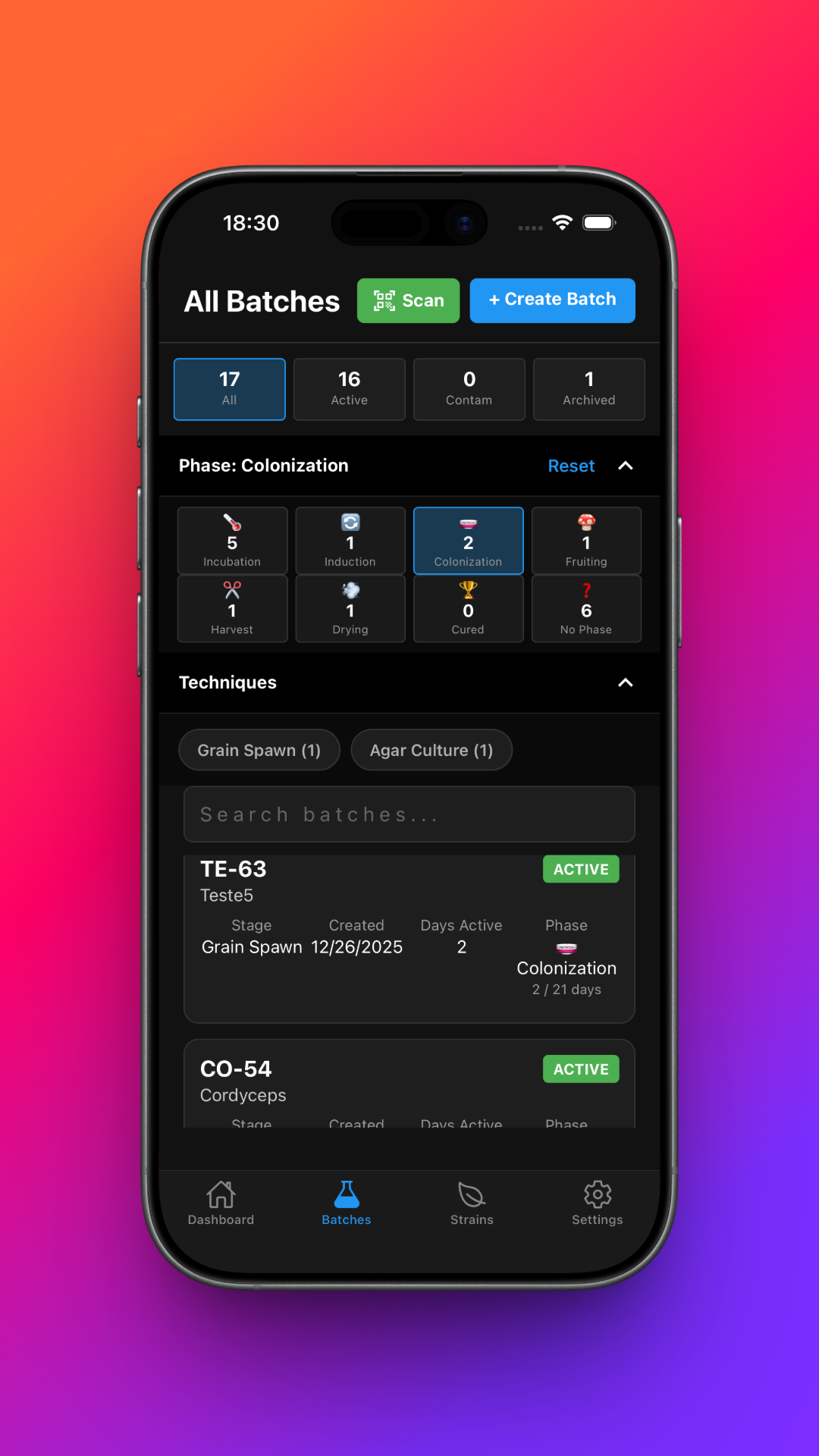 MycoHub gallery image