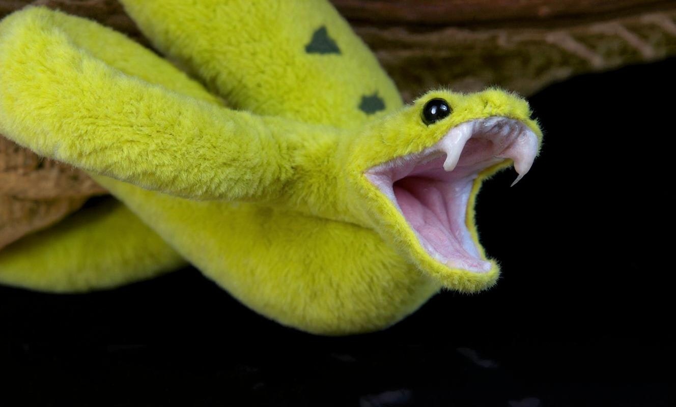 Pet Plushie gallery image