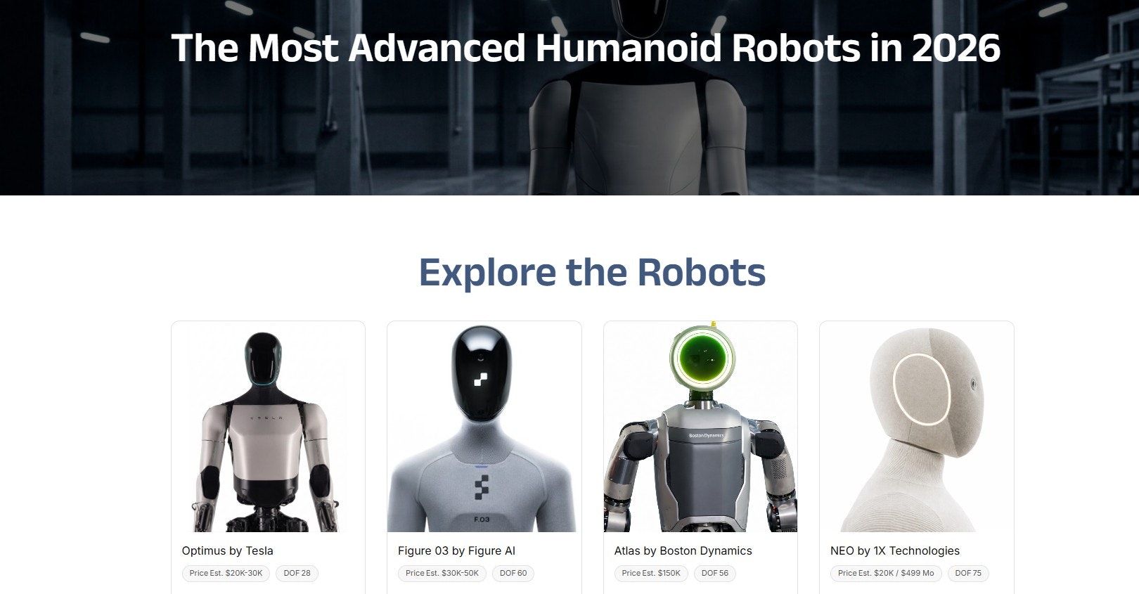 The Robotic Life gallery image