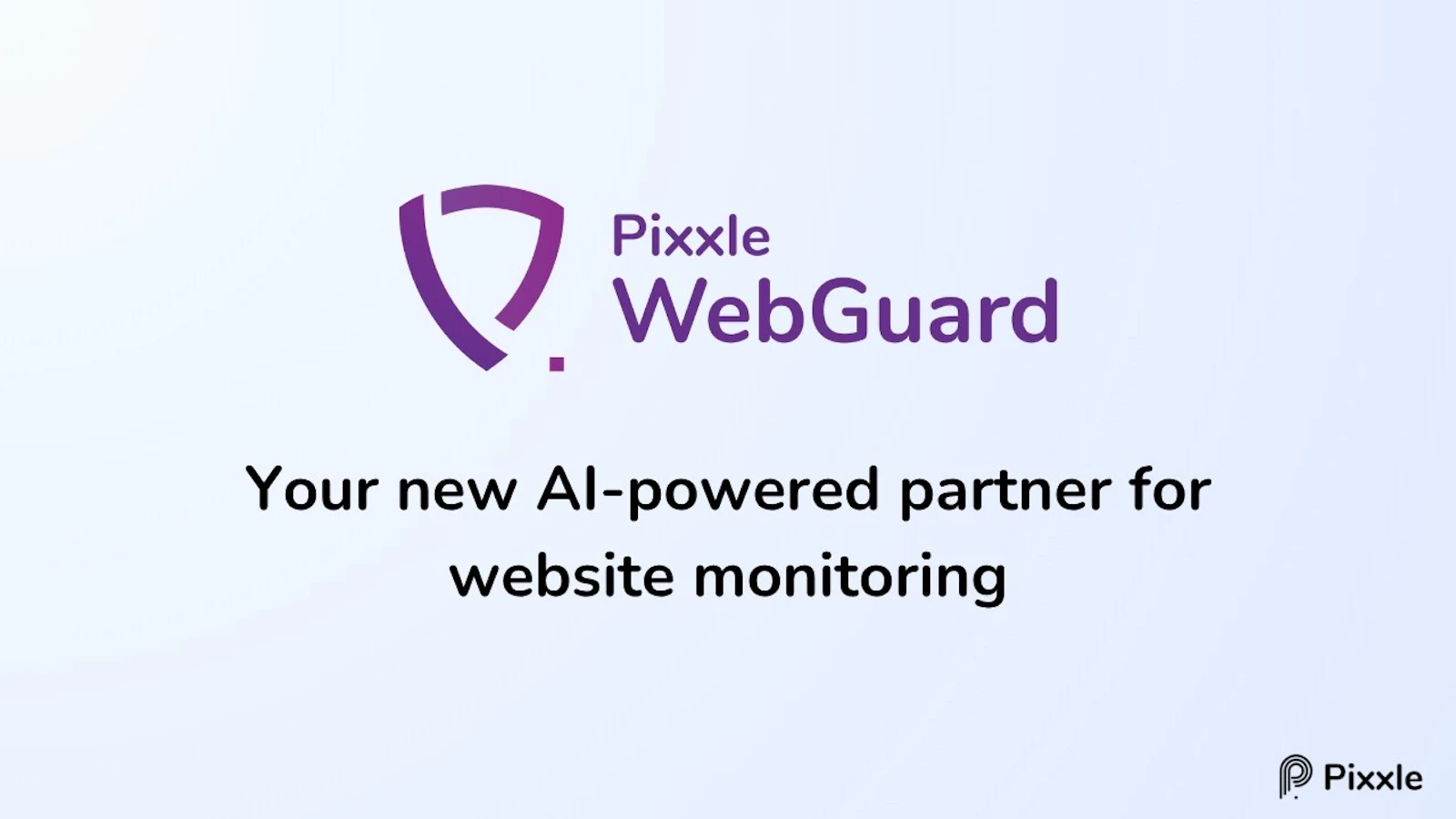 Pixxle WebGuard screenshot 1 (video preview)