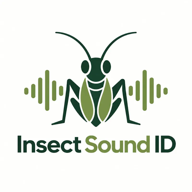 Insect Sound ID screenshot 1