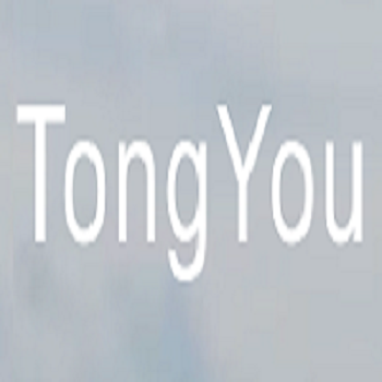 Zhejiang Tongyou I and E Co Ltd