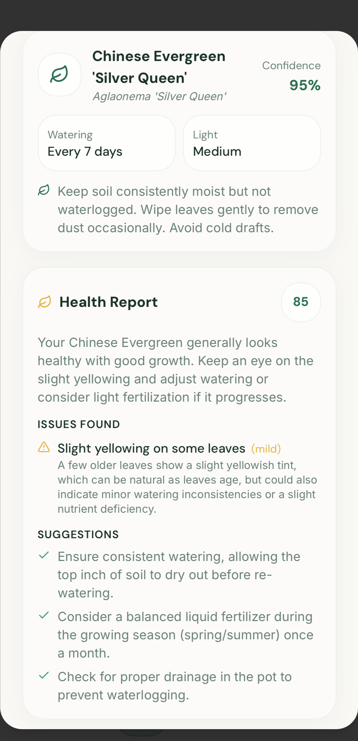 GreenFingers gallery image