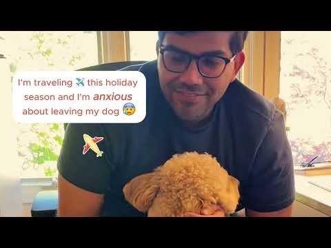 WoofyClub gallery image