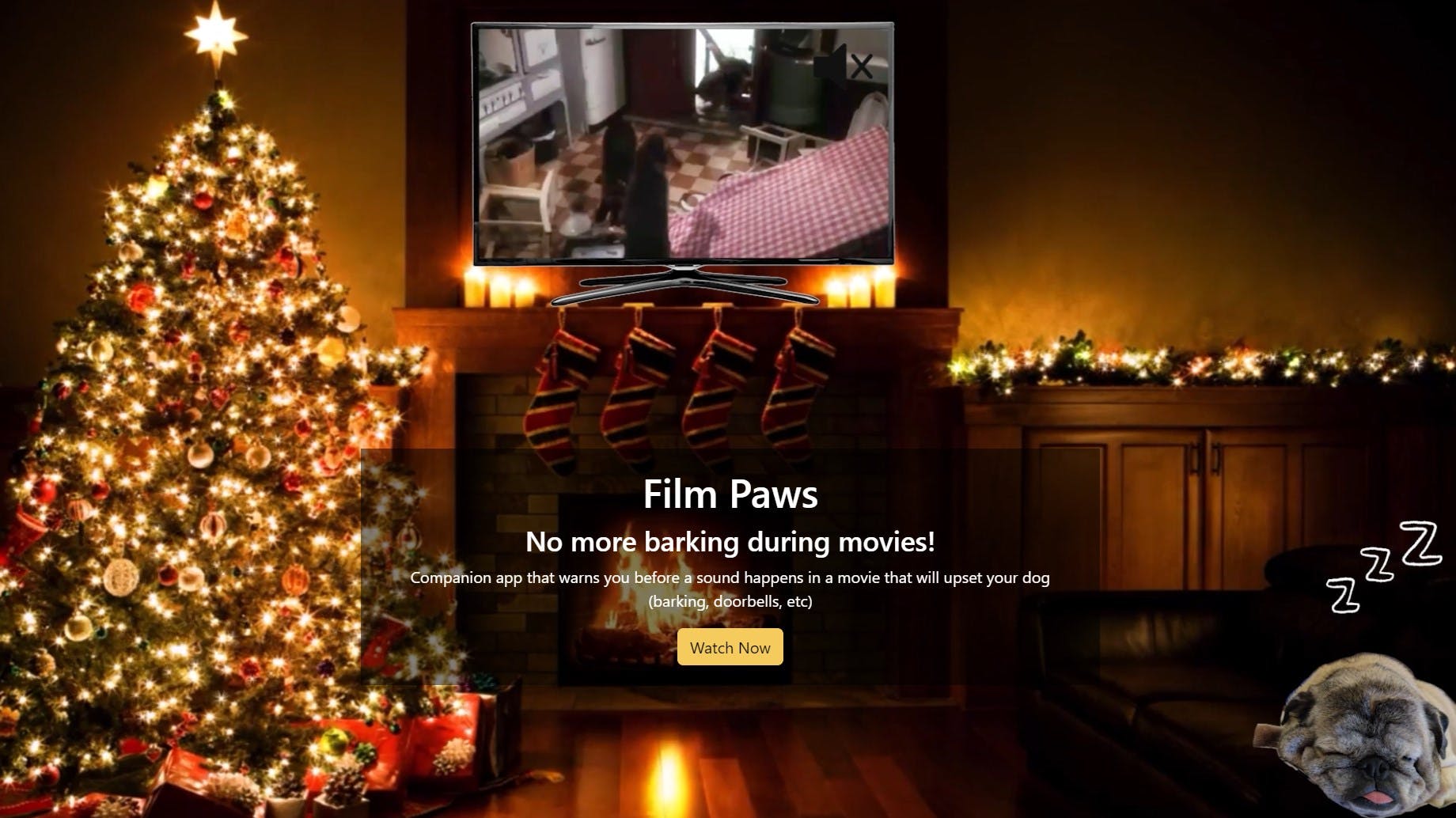 Film Paws media 1