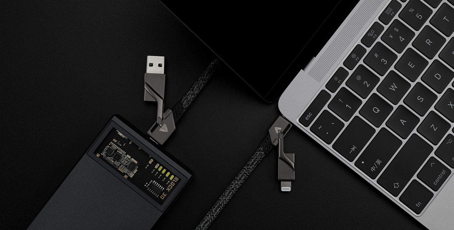 Steelix gallery image