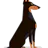 Guard Dog