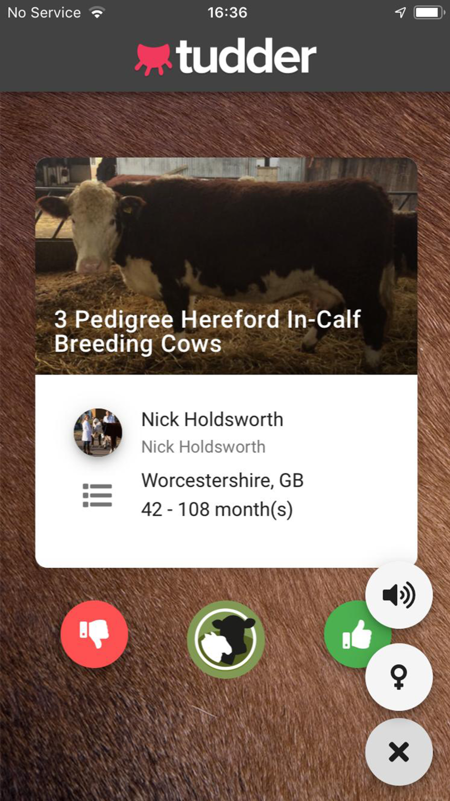 Tudder gallery image