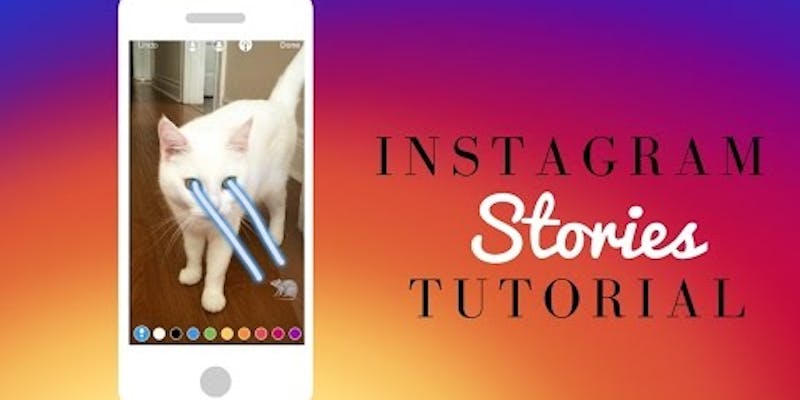 How to Use Instagram Stories: Everything You Need to Know  media 1