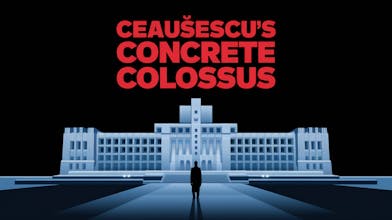 TubeAI gallery image