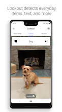 Google Lookout gallery image