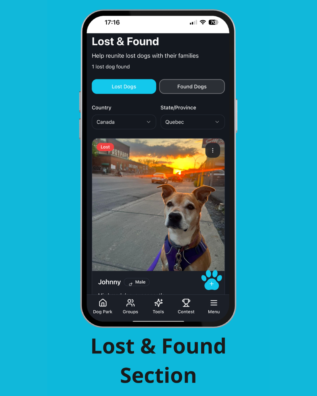 Only Dogs gallery image