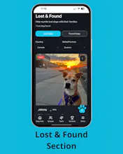 Only Dogs gallery image