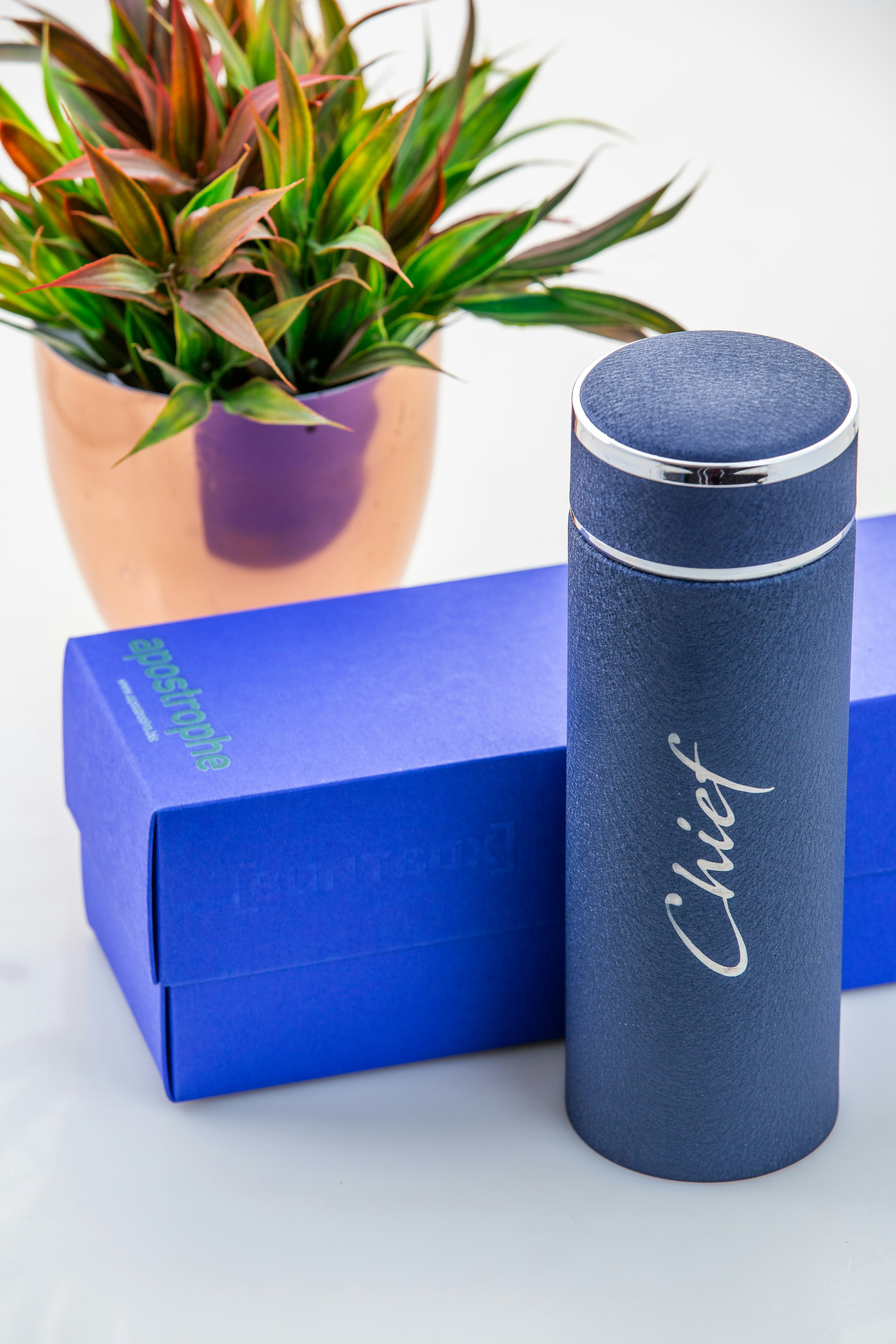 Apostrophe gallery image