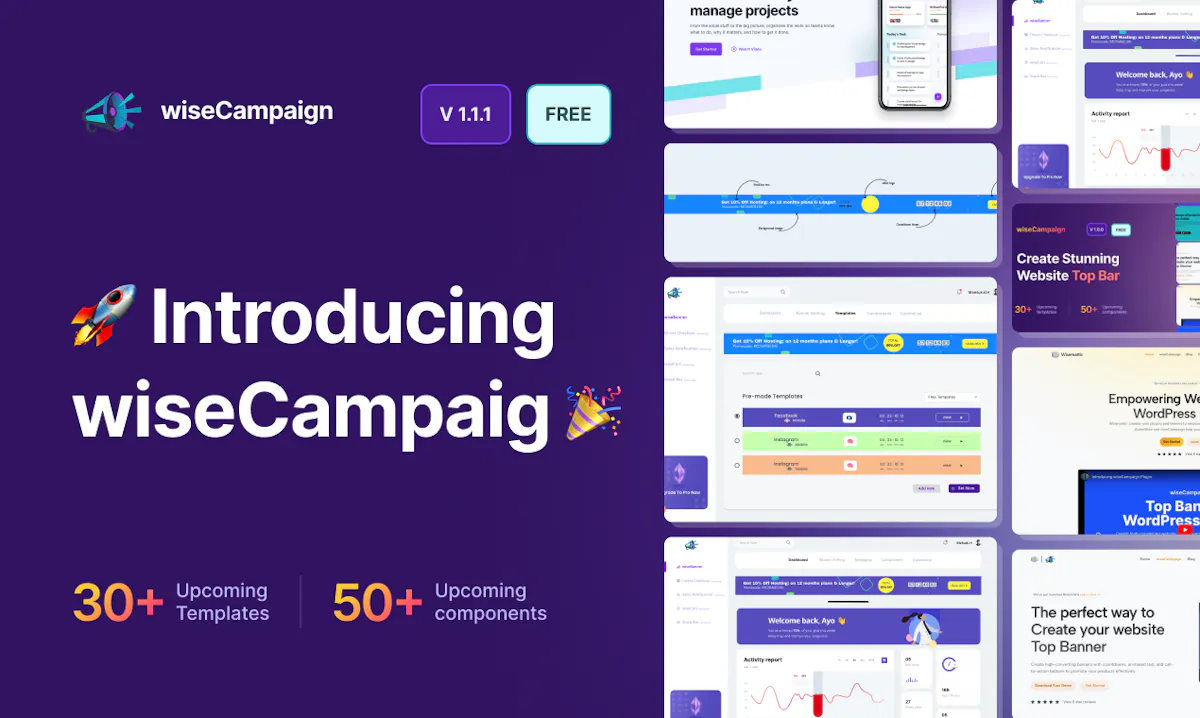 wiseCampaign