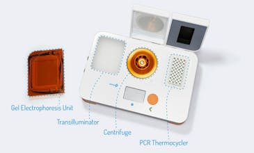 Bento Lab gallery image