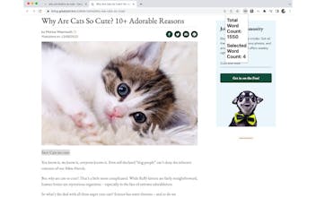 Word Counter Extension gallery image