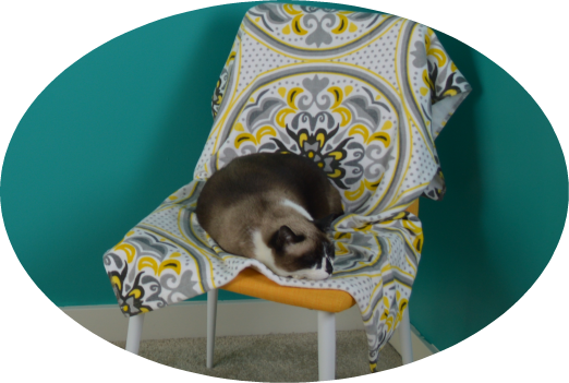 ProductHunt banner for @margherita
