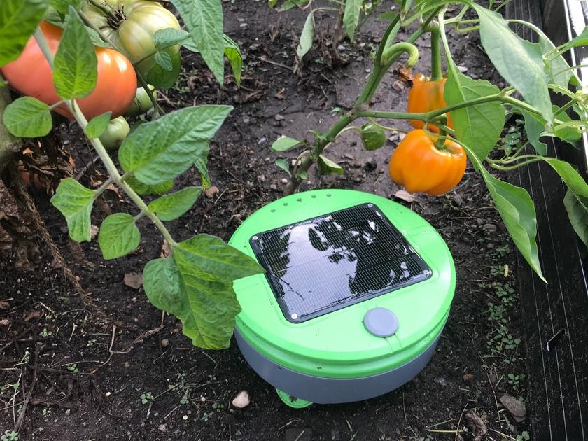 Tertill gallery image