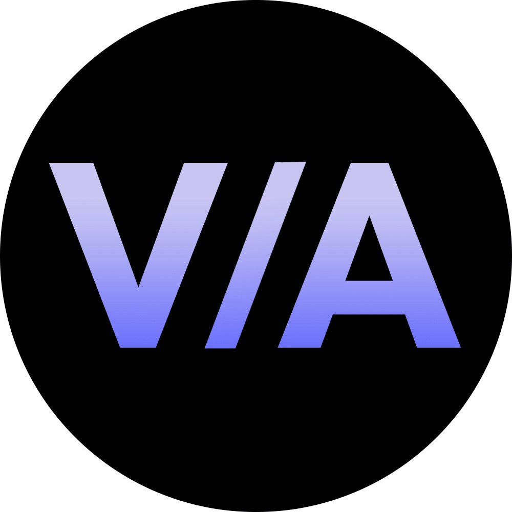 Vslanyzer