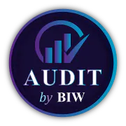 Audit by BIW