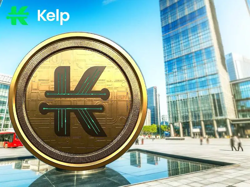 KelpAppBot gallery image