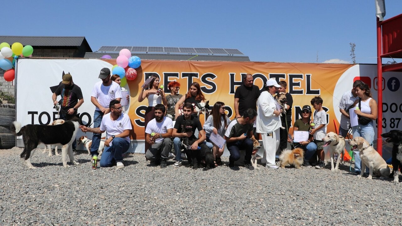 Top Dog gallery image