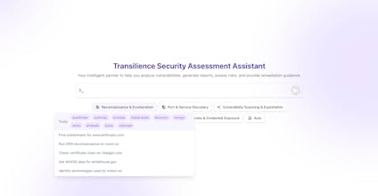 Transilience Security Assessment Agent gallery image