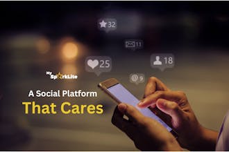 MySparkLite Mentorship Platform gallery image