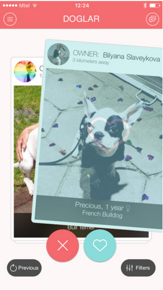 Doglar gallery image