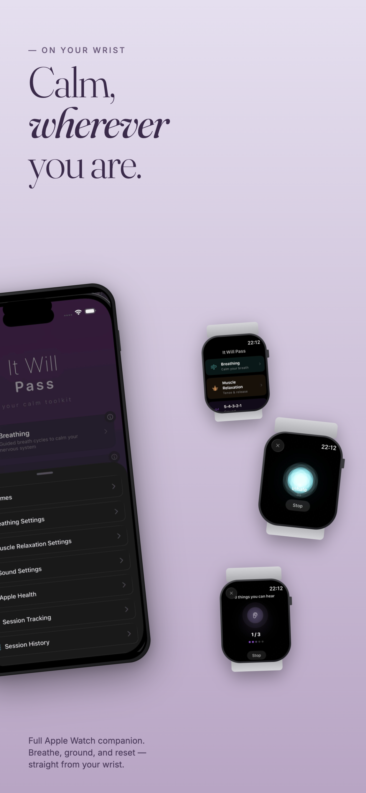 It Will Pass gallery image